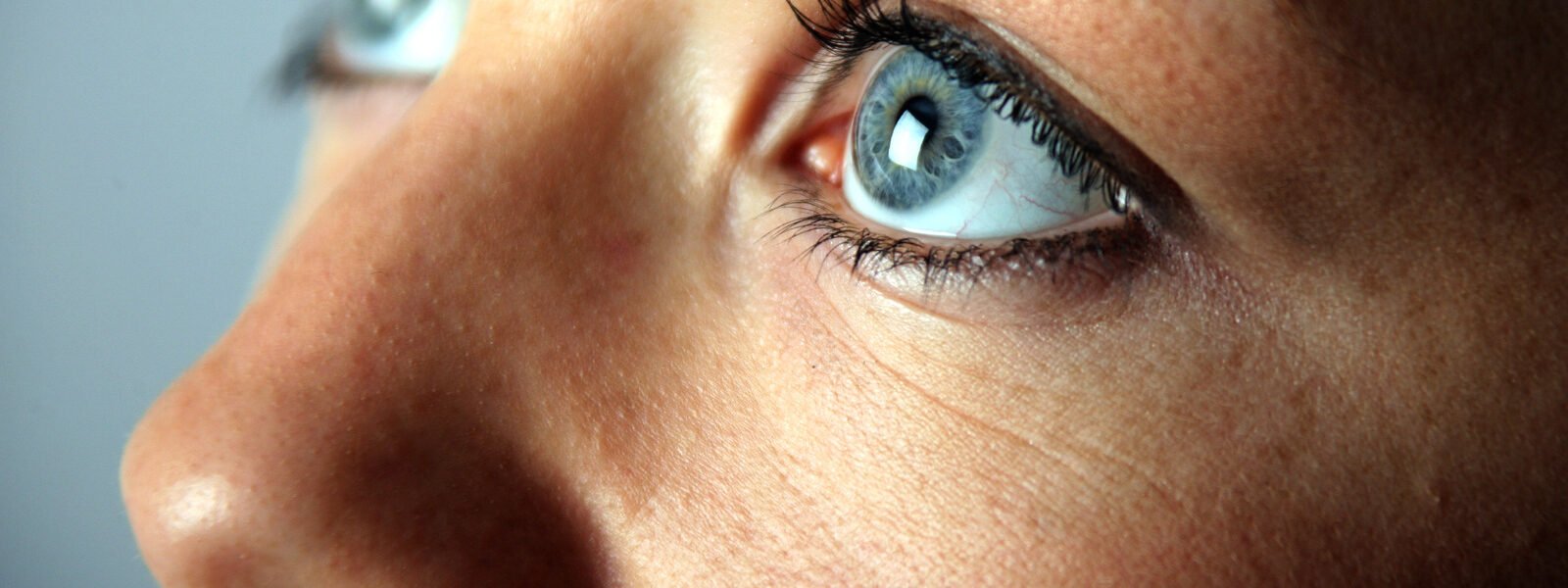 Eat This Unexpected Protein To Improve Your Eye Health - Health Digest