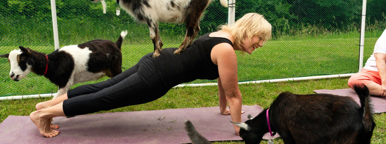 Where Is GOGA Goat Yoga From Shark Tank Season 10 Today? - Health Digest